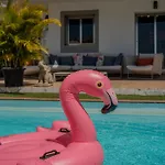 With Private Pool & Ocean Views 아파트 아데제
